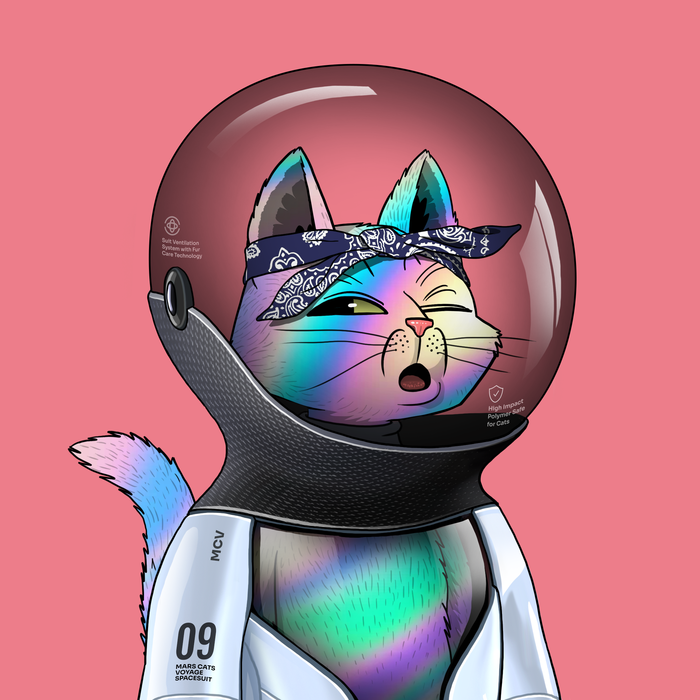 Mars Cat in Spacesuit #536